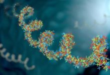 Фото - Как фрагменты древних вирусов в геноме человека влияют на организм