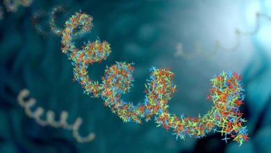 Фото - Как фрагменты древних вирусов в геноме человека влияют на организм