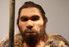 Фото - Неандертальцы вымерли из-за любви к современным женщинам?