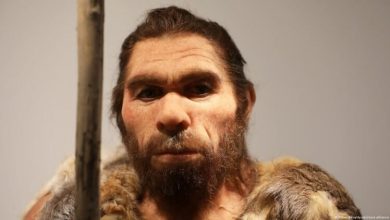 Фото - Неандертальцы вымерли из-за любви к современным женщинам?